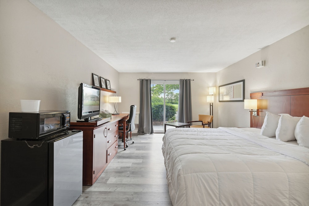 Miami Suites Hotel - photo 17