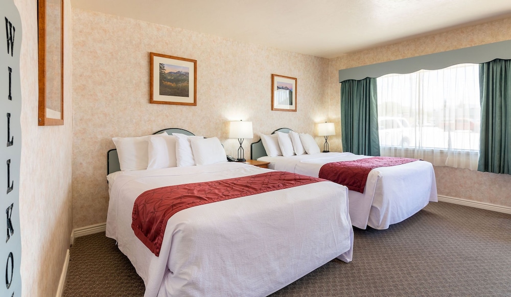 Swiss Alps Inn - photo 14