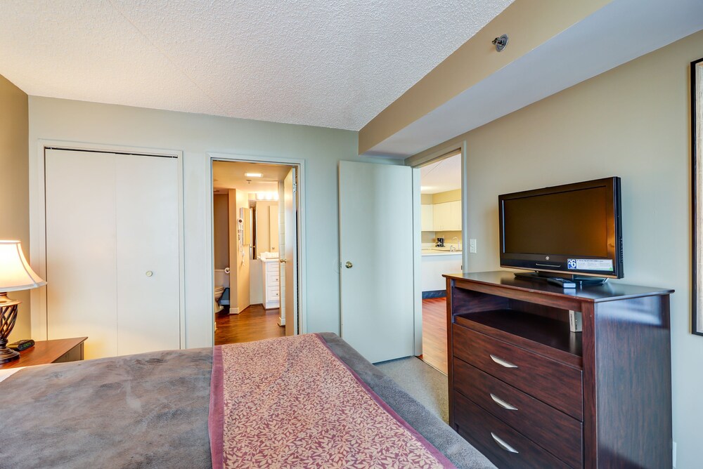 Atlantic Palace Suites - photo 28