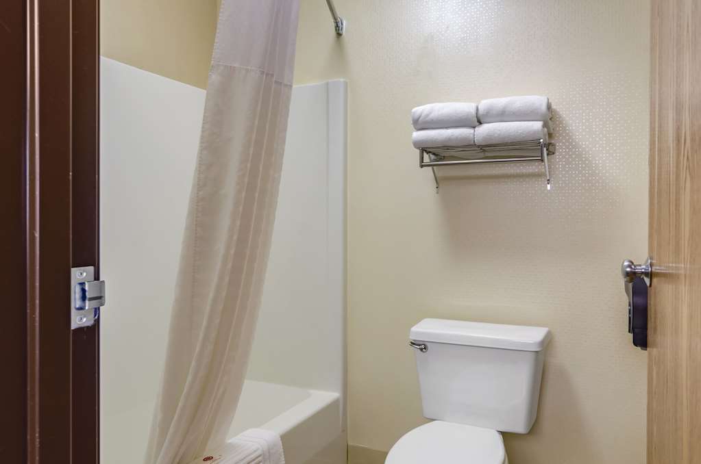 Comfort Inn Bozeman near University - photo 25