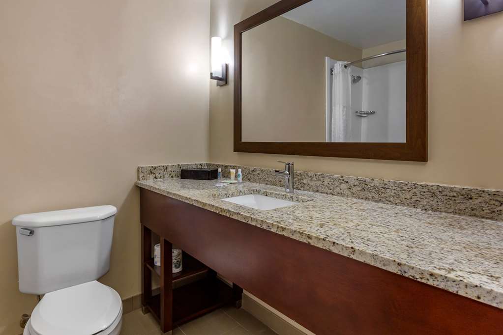 Comfort Inn Laurinburg NC - photo 22