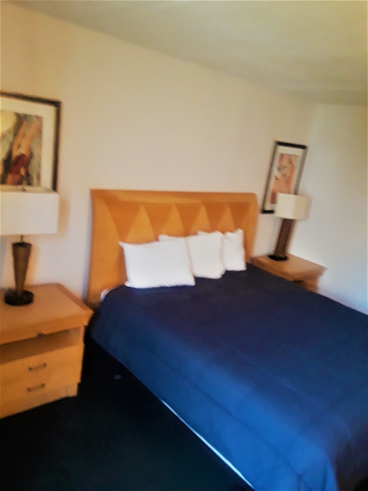 Madison Inn and Suites - photo 5