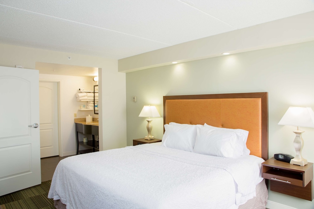 Hampton Inn & Suites Albany Downtown - photo 10