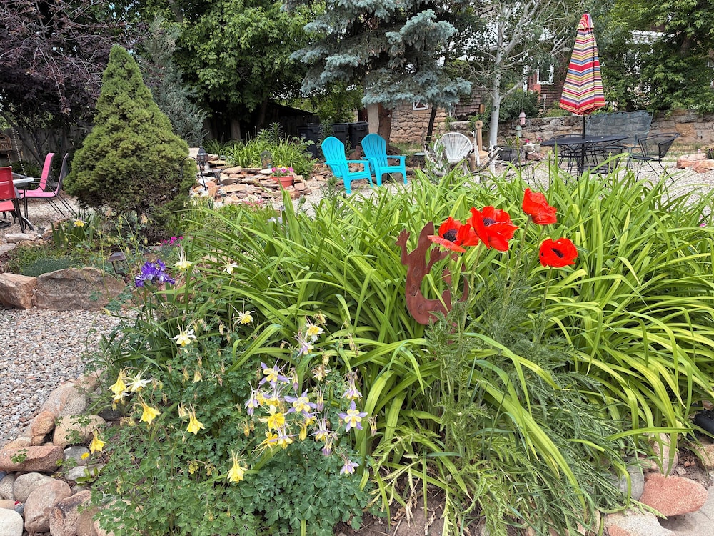 Mancos Inn - photo 54