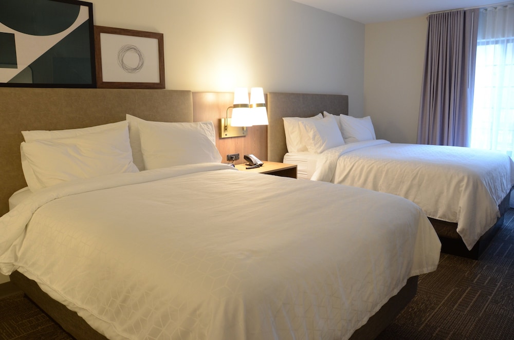 Staybridge Suites Nashville SE Murfreesboro by IHG - photo 20