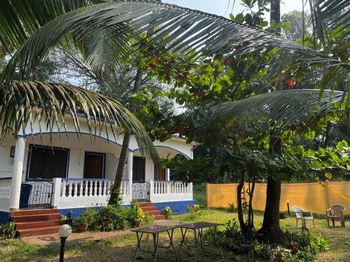 Coco inn Goa — Candolim — photo 4