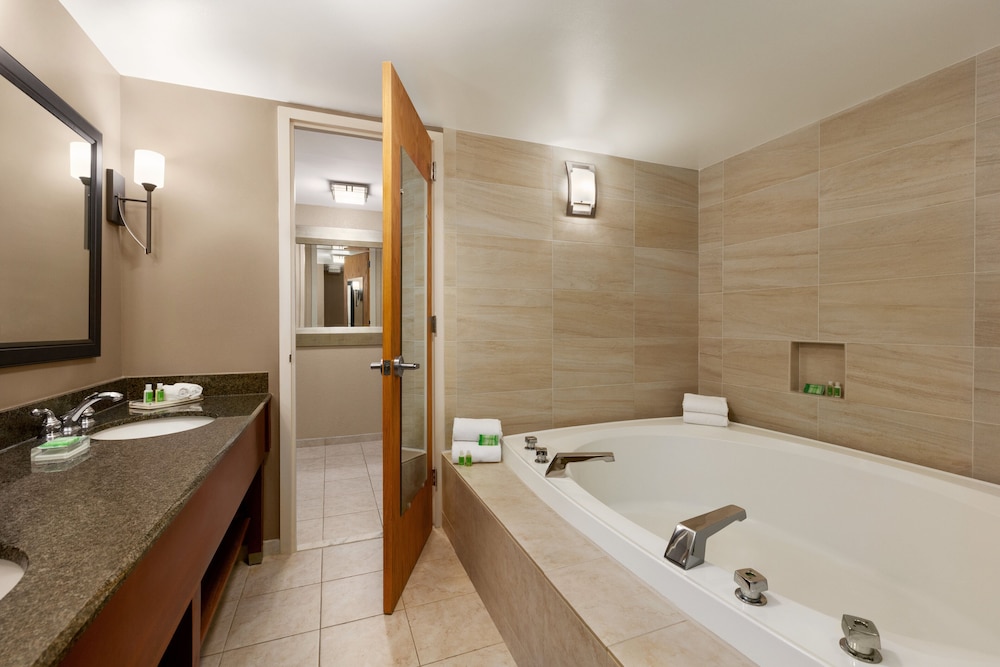 Holiday Inn Washington Dulles International Airport by IHG - photo 19