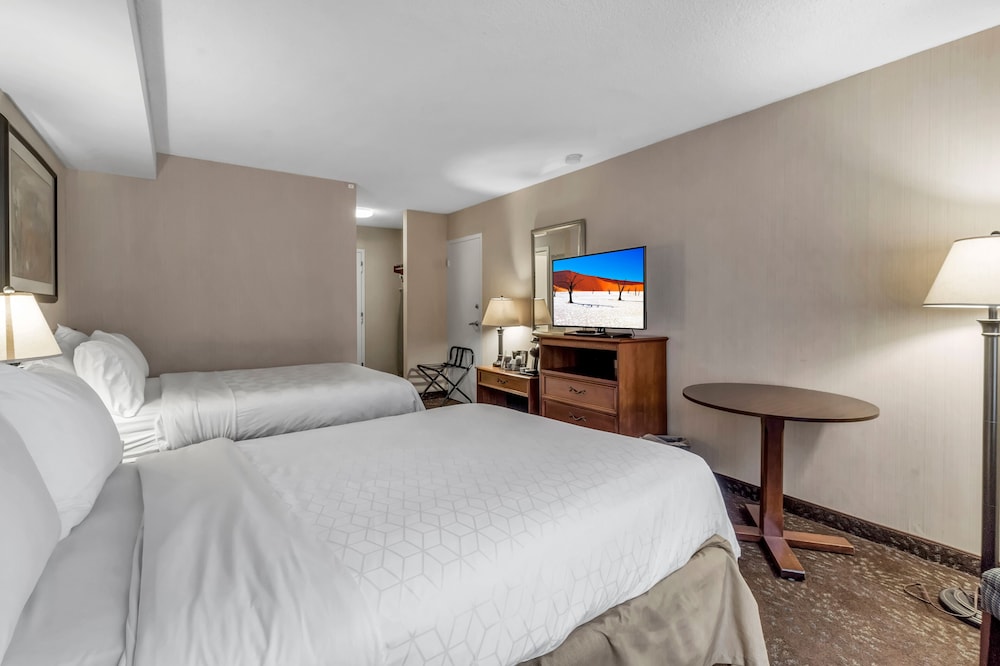 Buffalo Airport Hotel - photo 23