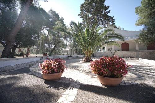 Nadia Village - last minute hotel in Unknown City