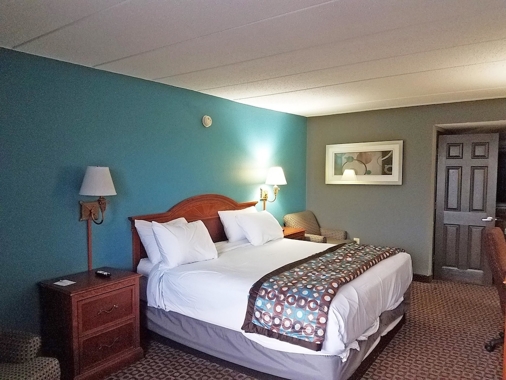 Americas Best Value Inn St. Louis Downtown - photo 8