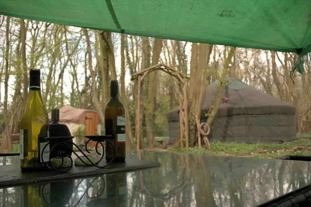 Magical Forest yurt - carbon neutral hotel in Sturry