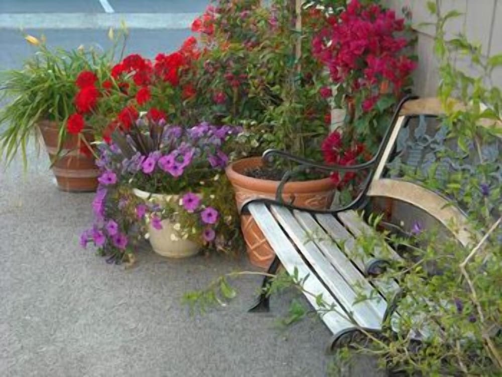 Colton Inn - photo 15