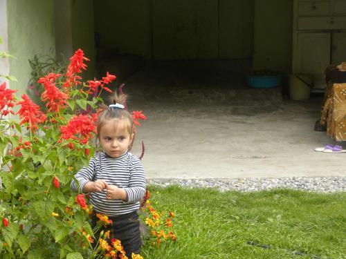 Jimsher Naveriani Guesthouse