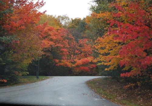 Wells River Motel - photo 55