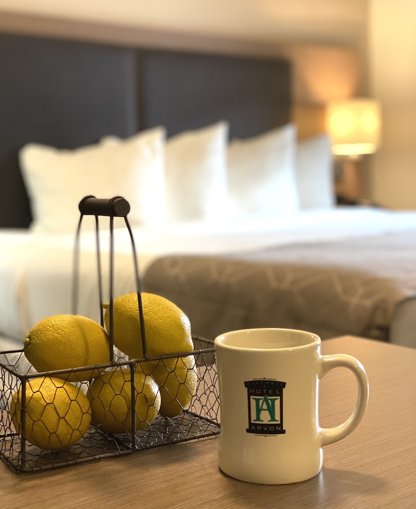 Hotel Arvon - photo 7