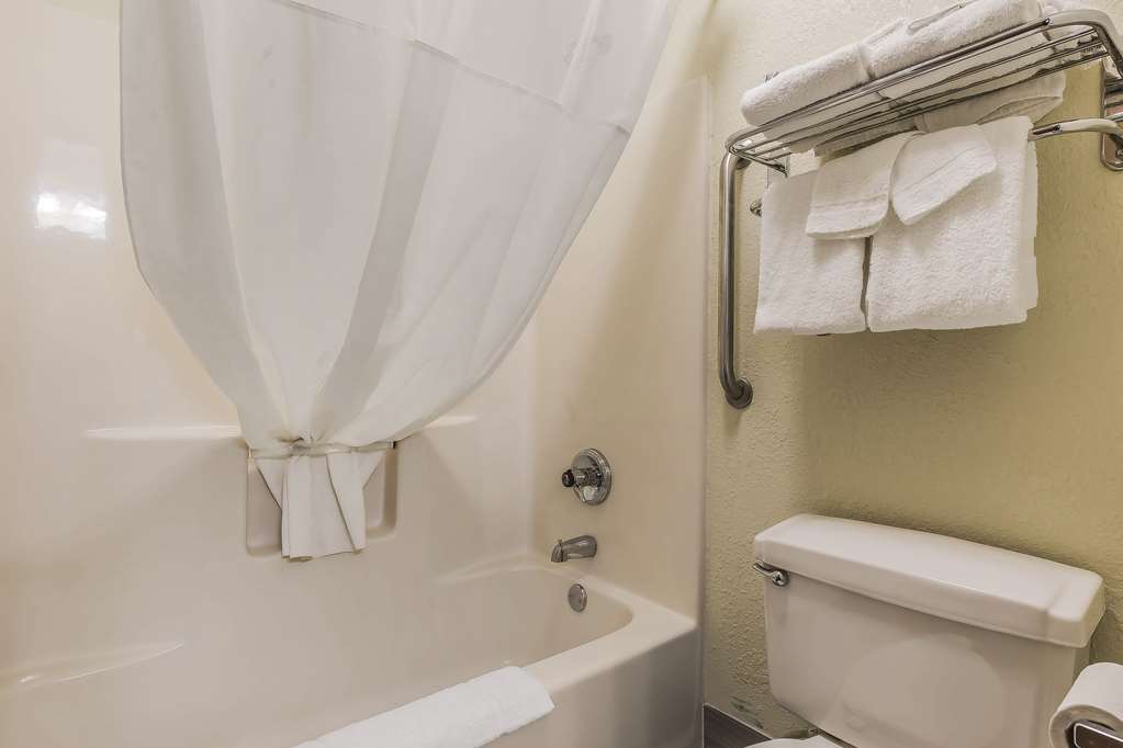 Quality Inn Sycamore DeKalb - photo 23