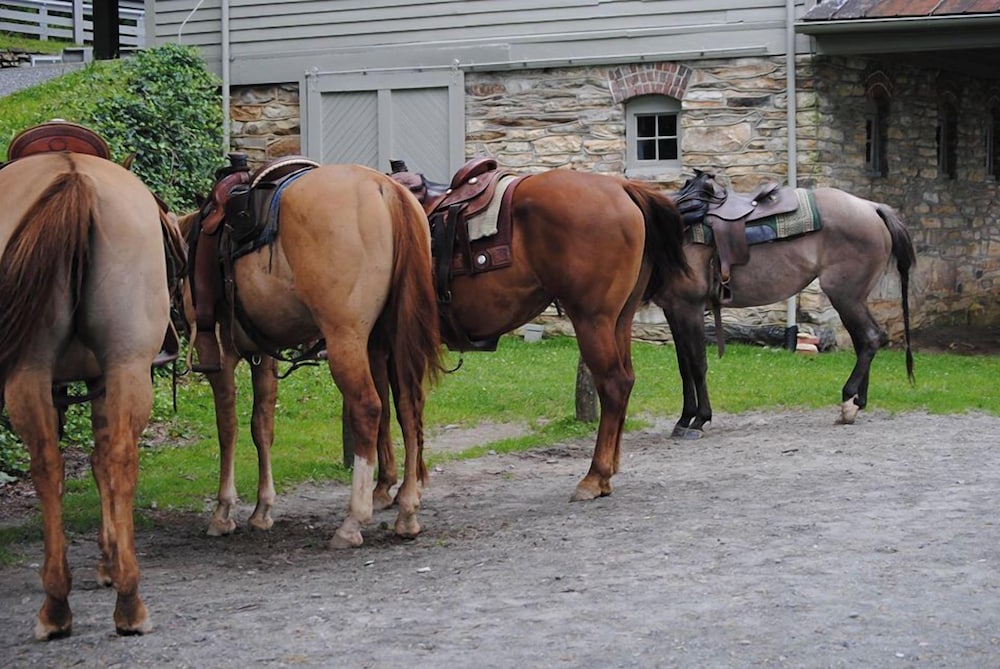 Blowing Rock Inn - photo 39