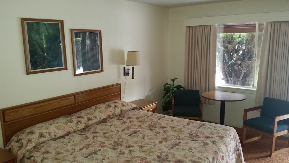 Blue Gum Motel - photo 6