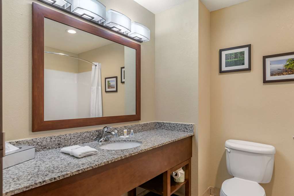 Comfort Suites Grand Rapids North - photo 14