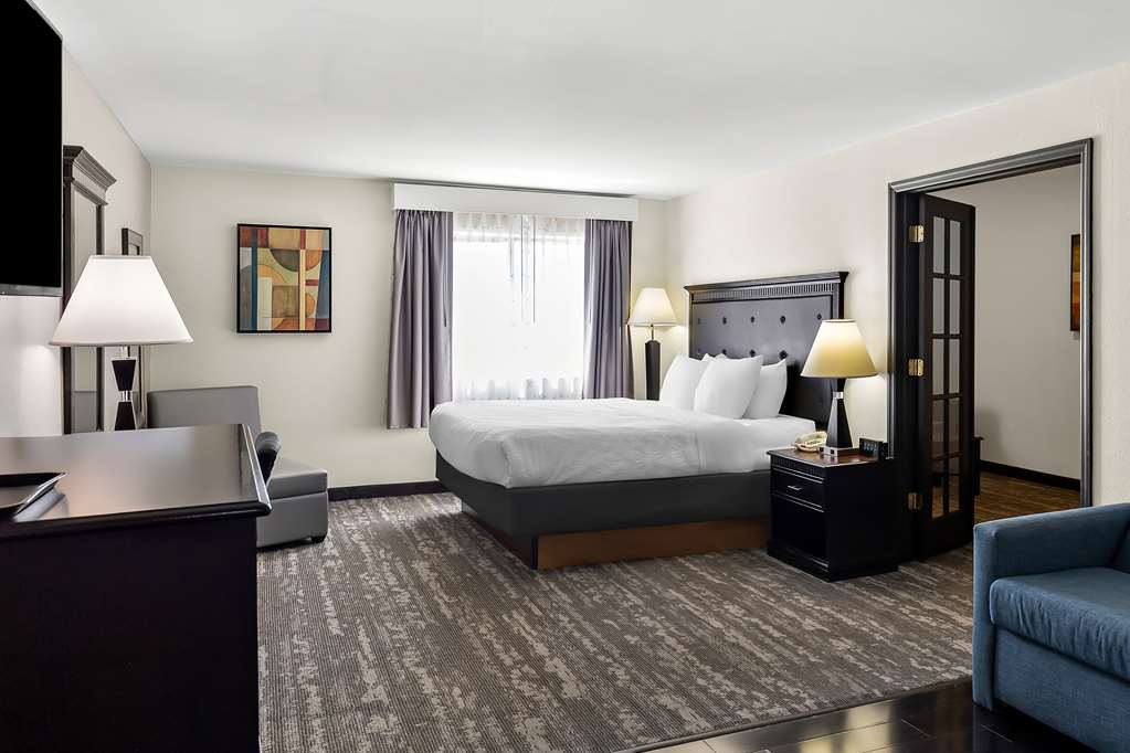 Best Western Saluki Inn - photo 6