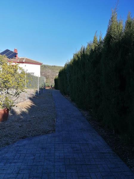 Los Nogales — Cazalla De La Sierra — photo 4