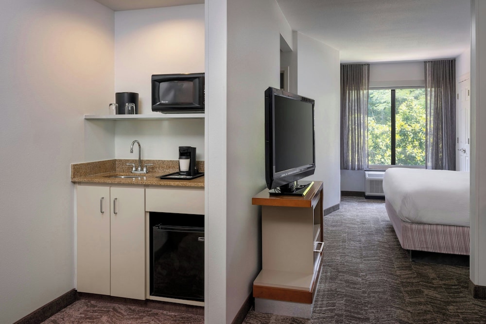 SpringHill Suites by Marriott Charleston N. Ashley Phosphate - photo 47