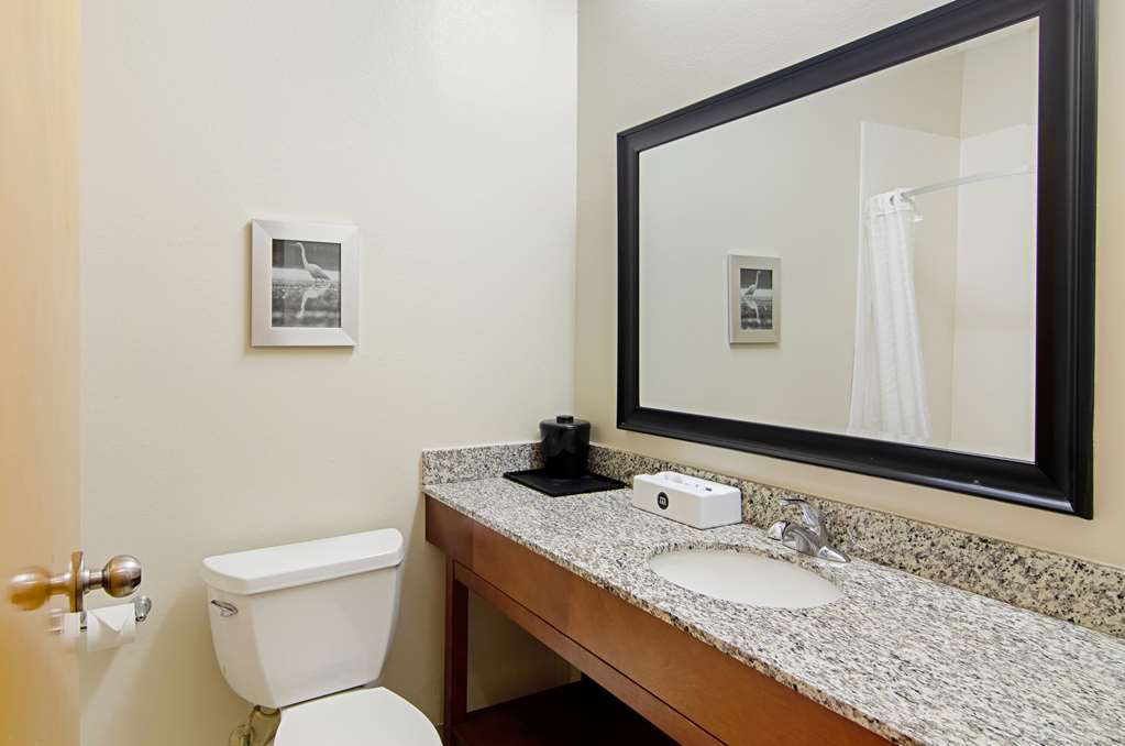 Quality Inn & Suites Near Tanger Outlet Mall - photo 12