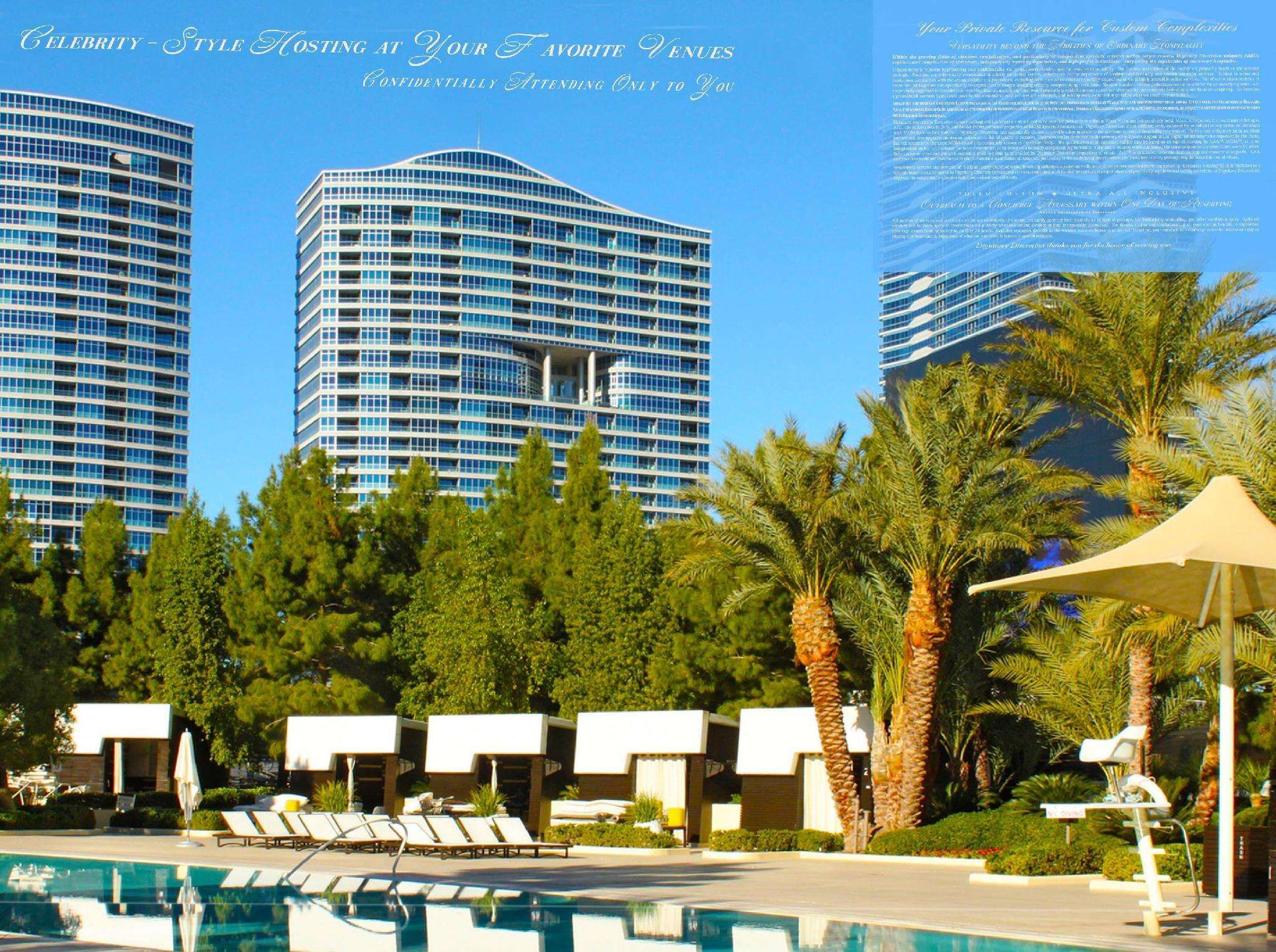 Dignitary Discretion Las Vegas - photo 13