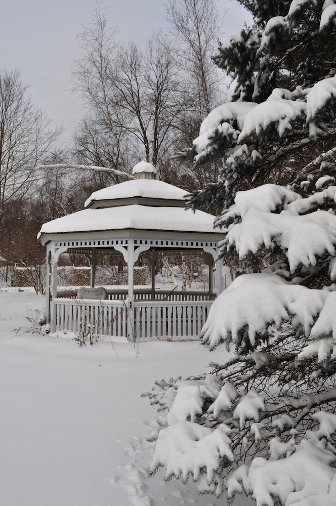 Arlington Inn - photo 50