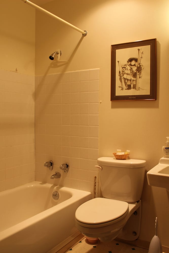 Crystal Chalets Condominiums at Crystal Mountain Ski Resort - photo 160