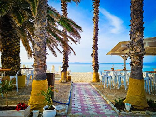 Maisonette by the sea 50 m in Pefkochori, Greece