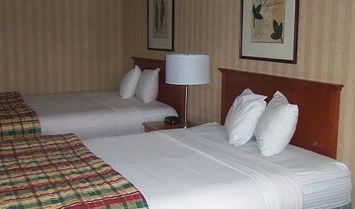 Sacramento Inn and Suites - photo 8