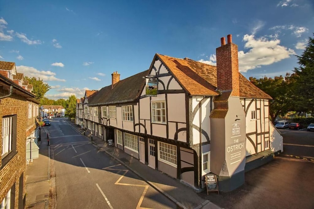 The Ostrich Inn — Slough