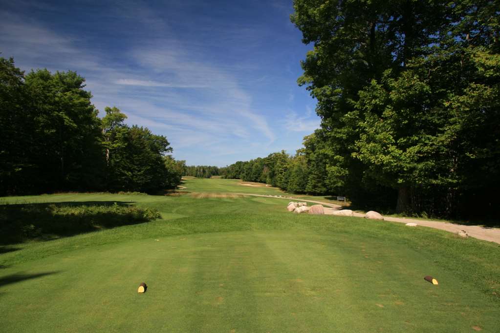 Drummond Island Resort - photo 4