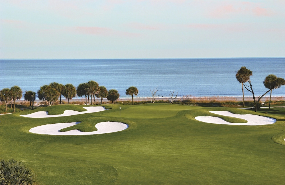 Holiday Inn Express Hilton Head Island by IHG - photo 80