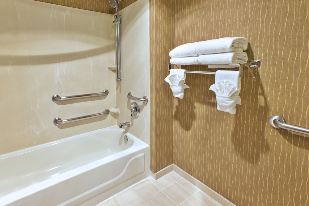 Holiday Inn & Suites Bolingbrook by IHG - photo 32