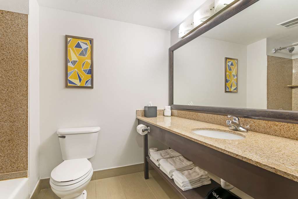 Comfort Inn Near Six Flags St. Louis - photo 27