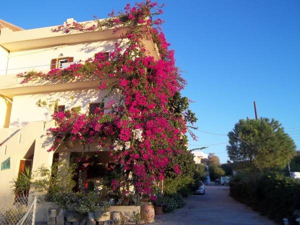 Knossos Hotel — Alimos — photo 4
