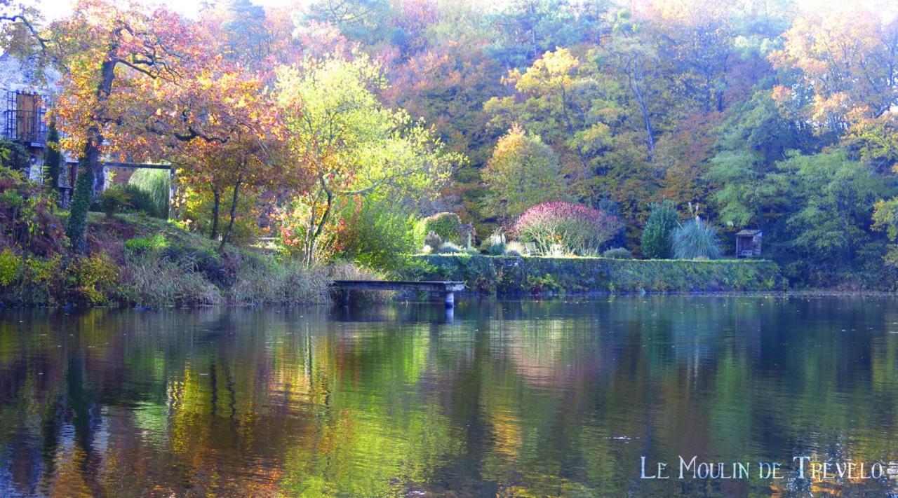 Le Moulin de Trevelo pet-friendly hotel Caden
