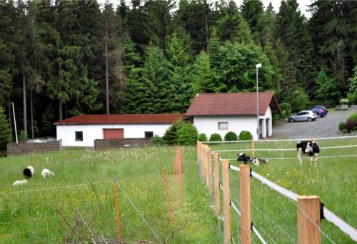 Ferienhaus Müller — Warmensteinach — photo 2