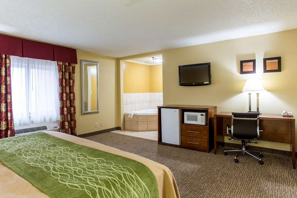 Comfort Inn Columbia West - photo 23