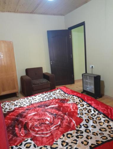 Lenima in Mest'ia, Georgia