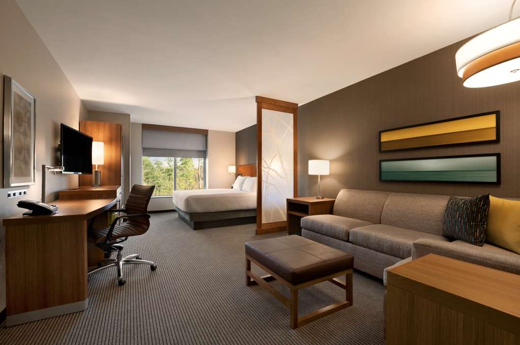 Hyatt Place Houston The Woodlands - photo 30