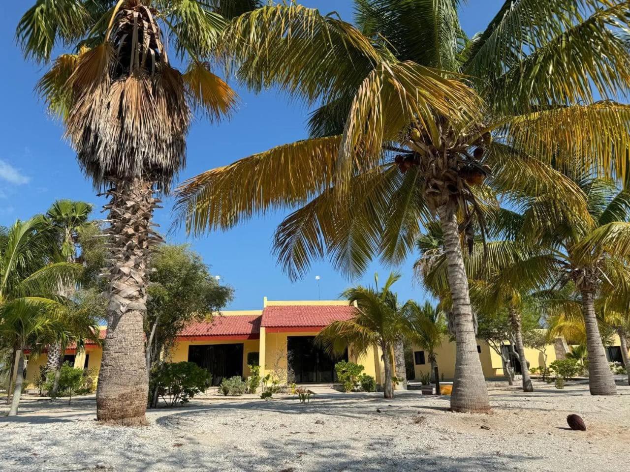 Beachfront department Celestun — 4-Star Luxury Hotel in Celestun, Mexico
