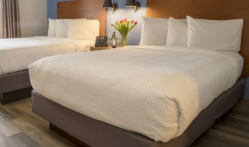 Hotel Focus Sfo - photo 6