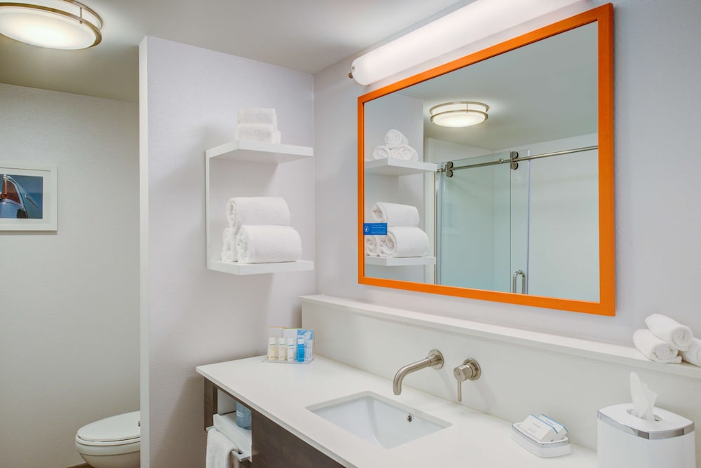 Hampton Inn & Suites Wixom - photo 33