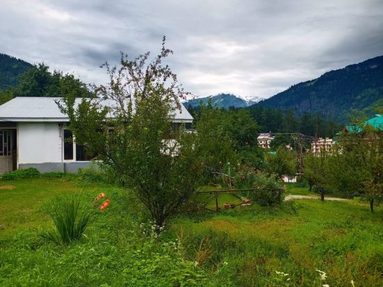 Hotel The Valerian - last minute hotel in Manali