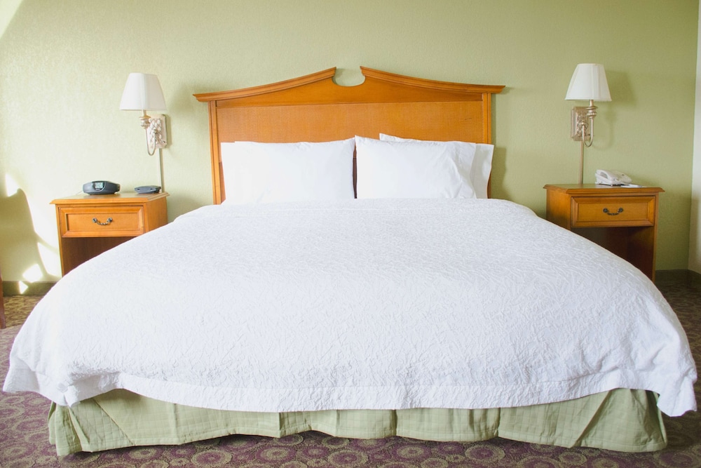 Hampton Inn and Suites College Station - photo 24