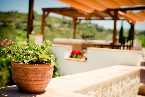 Caserio del Mirador — hotel in Jalon
