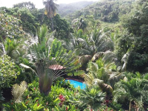 Ti Plèn Kréol in Pointe-Noire, Guadeloupe